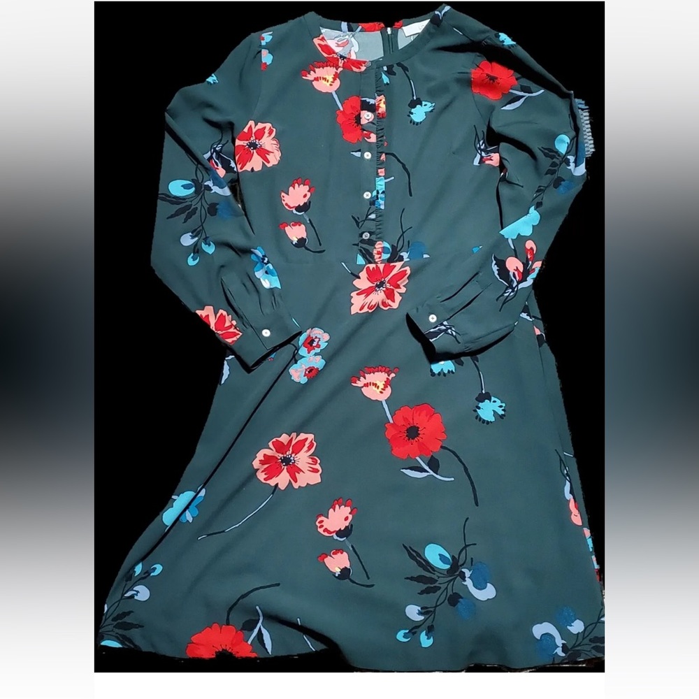 Ann Taylor Loft Green Multi Floral Print Button Front Long Sleeve Dress 4 petite